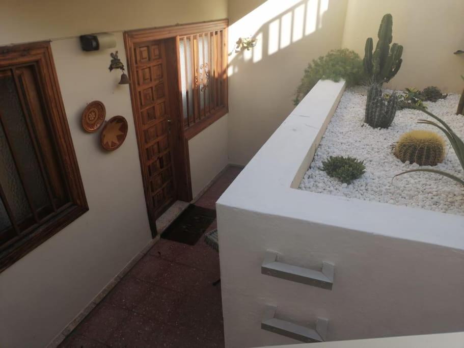 Casa Las Pencas De Margarita Los Realejos Buitenkant foto
